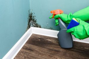 prevent-mold-growth-at-home1