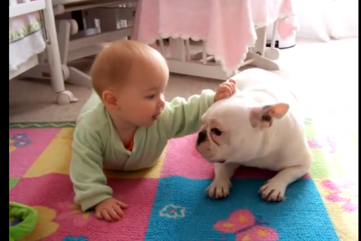 [Βίντεο] Το σκυλάκι μαθαίνει στο μωράκι να μπουσουλάει!