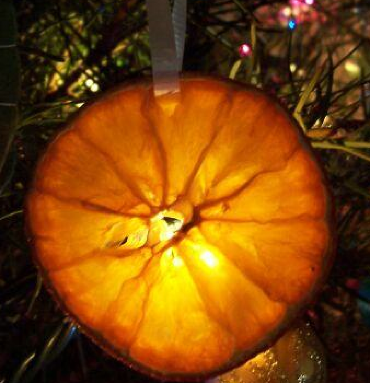 Αποξηραμένες φέτες πορτοκαλιού για το δέντρο (και όχι μόνο)!