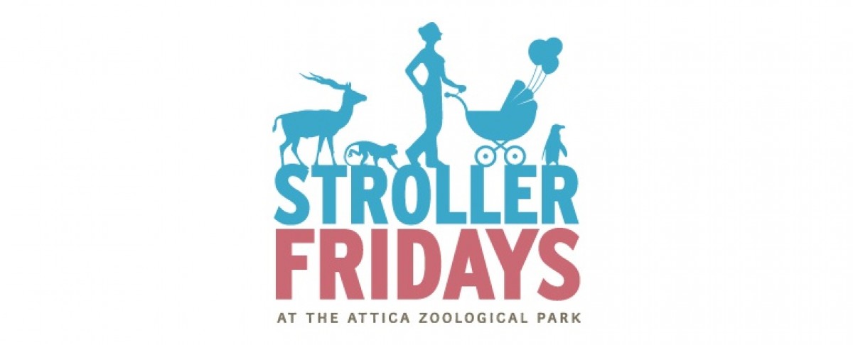 Stroller Fridays στο Αττικό Ζωολογικό Πάρκο!