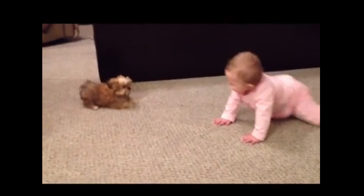 Σκυλάκι και μωράκι… Ένα βίντεο γλύκα!