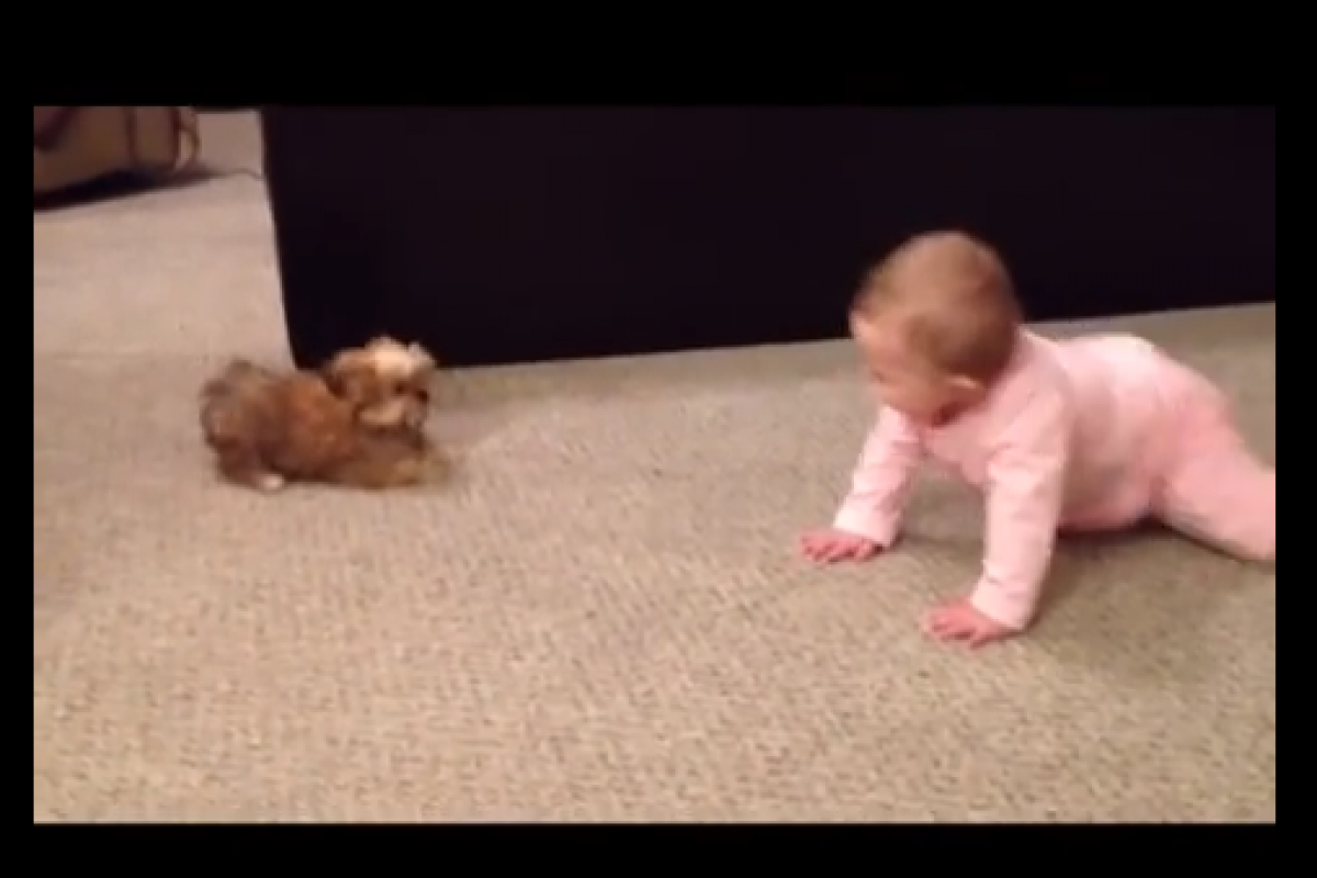 Σκυλάκι και μωράκι… Ένα βίντεο γλύκα!
