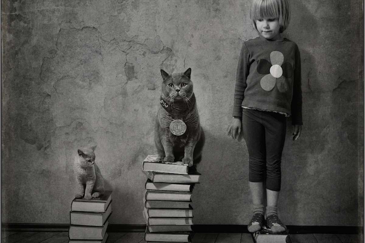 Ένα κοριτσάκι φωτογραφίζεται με τις γάτες της
