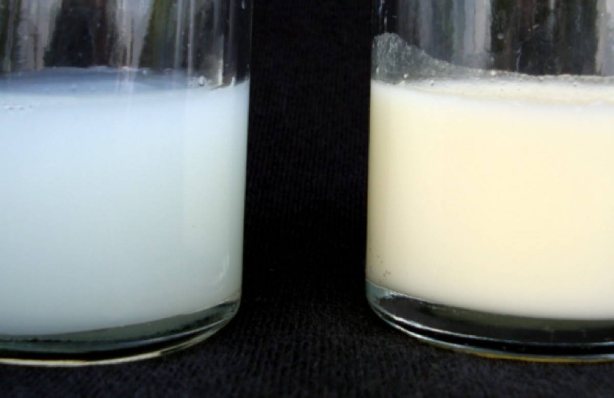 «Αρχικό γάλα» και «υστερόγαλα» – Τι σημαίνουν και τι σημασία έχουν;