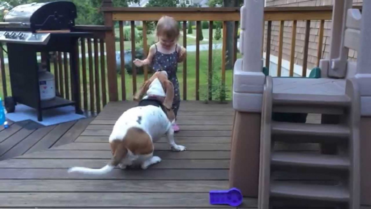 [Βίντεο] «Χορεύοντας» μ’ ένα γλυκύτατο σκυλάκι