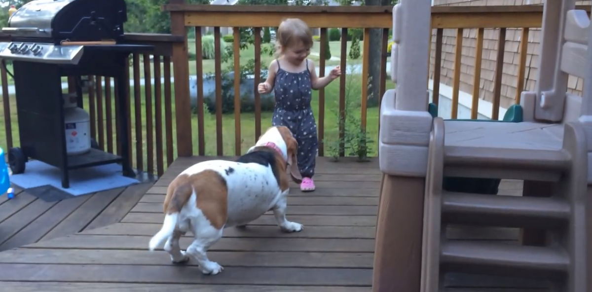 [Βίντεο] Σκύλος και κοριτσάκι χορεύουν παρέα!