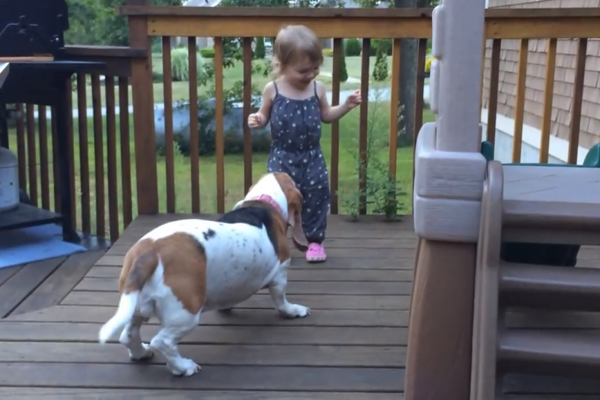 [Βίντεο] Σκύλος και κοριτσάκι χορεύουν παρέα!