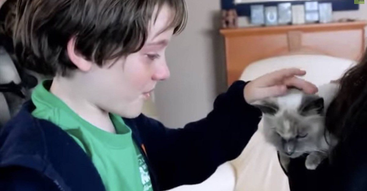 [Βίντεο] Μια μαμά βρίσκει και πάλι τη γάτα της οικογένειας. Δείτε τις αντιδράσεις τους!