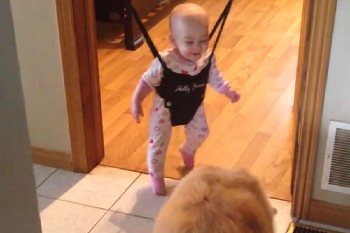 [Βίντεο] Χοροπηδώντας με το σκύλο όλο χαρά