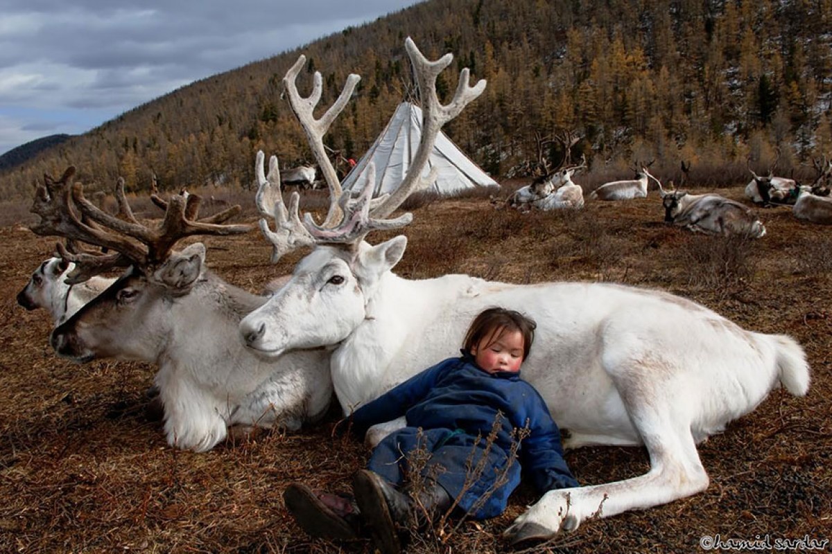 [Φωτογραφίες] Οι οικογένειες που ζουν με τους ταράνδους στη Μογγολία