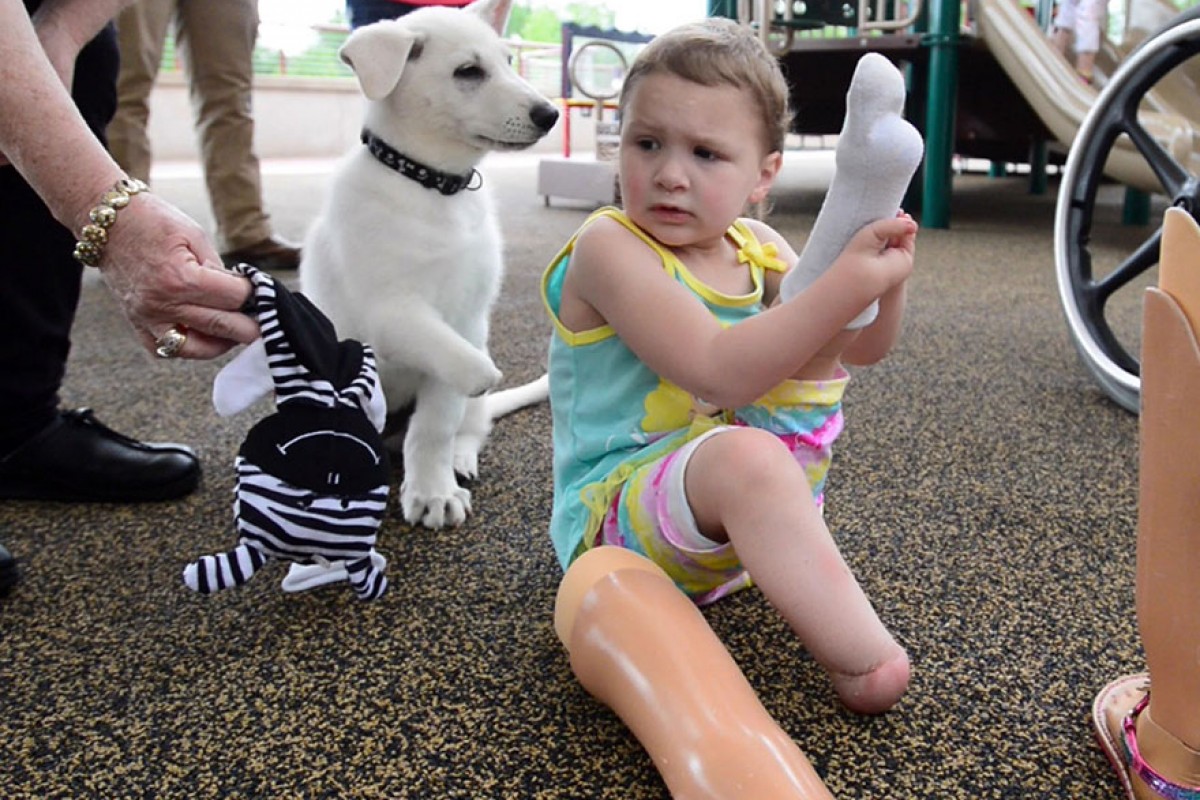 Ένα κορίτσι χωρίς πόδια βρίσκει τον ιδανικότερο φίλο: ένα σκυλάκι χωρίς πατούσες