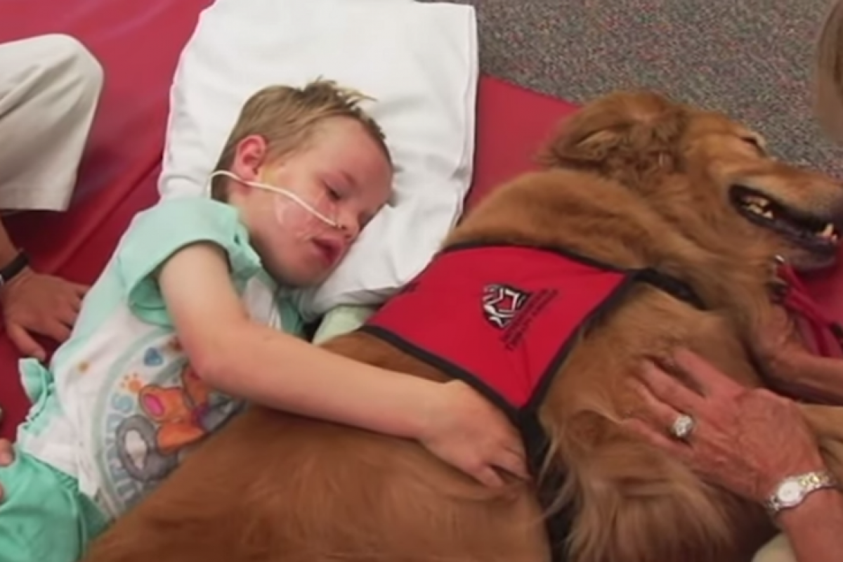 Πώς ένας σκύλος βοήθησε αυτό το αγόρι να γίνει καλά