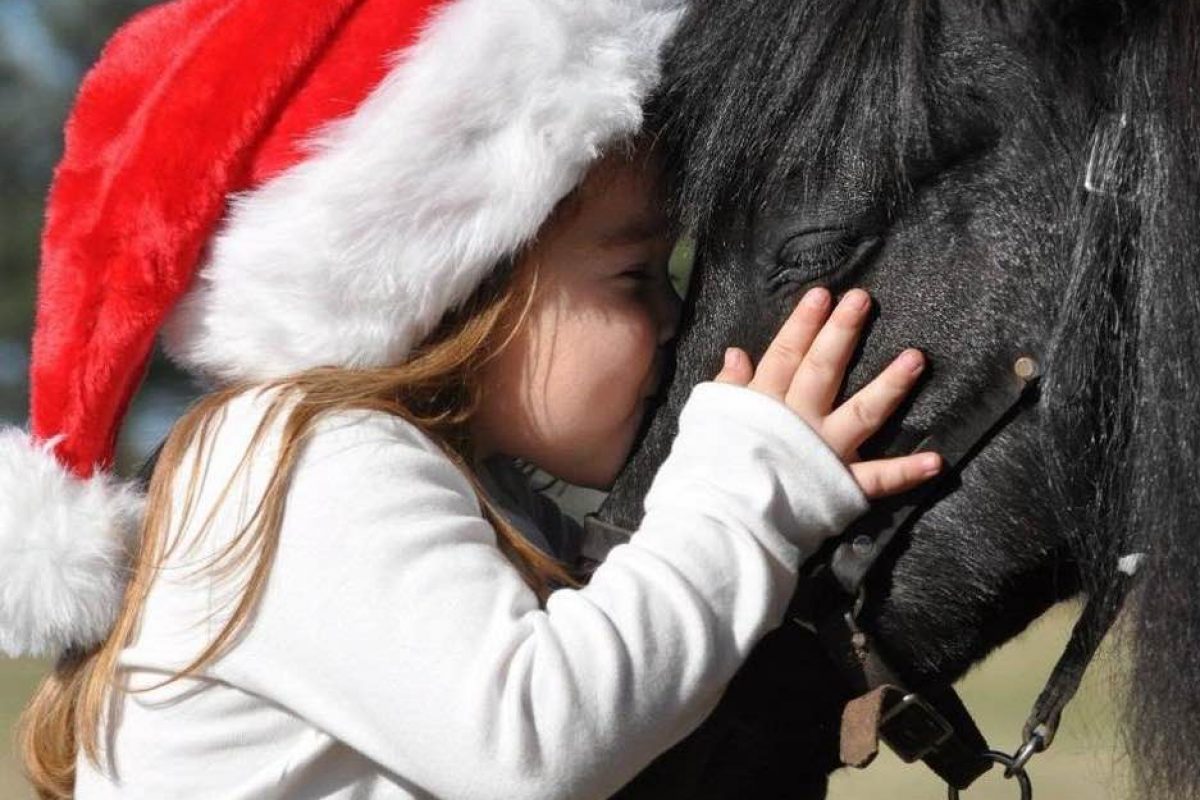 Ένα χριστουγεννιάτικο διήμερο με τα μαγικά αλογάκια του Gentle Carousel!