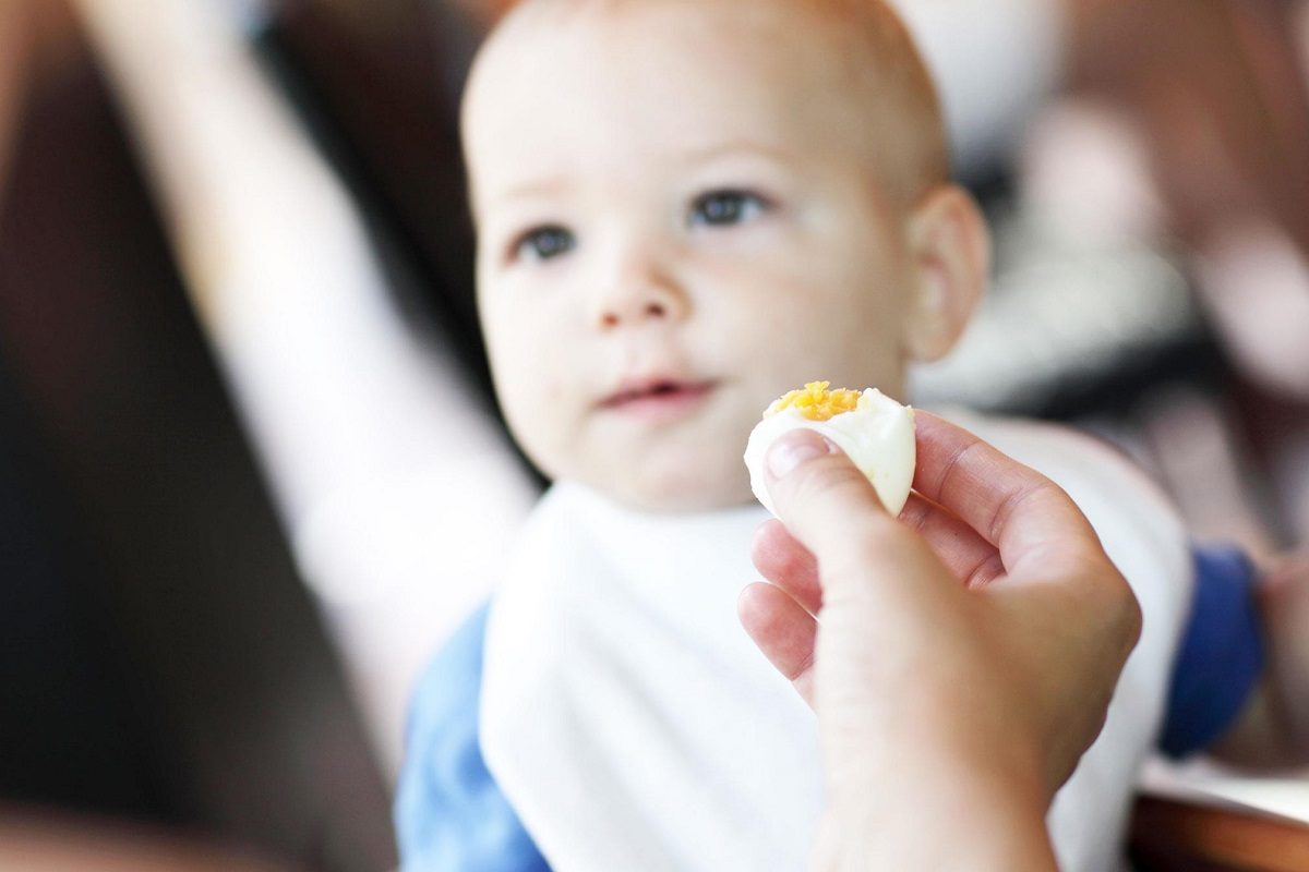 Το αβγό στη διατροφή του παιδιού