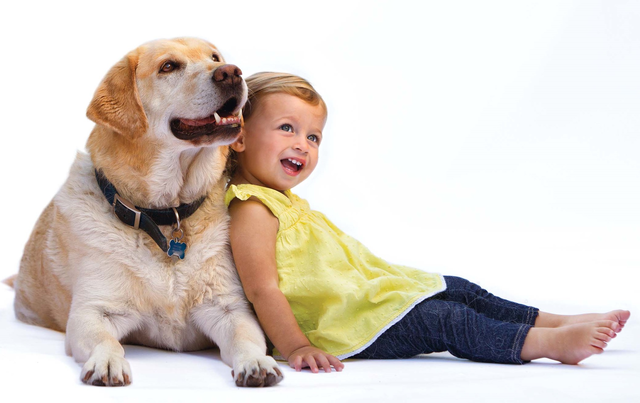Человек ребенок собака. Собака для детей. Домашние животные для детей. Домашняя собака для детей. Домашние животные и человек.