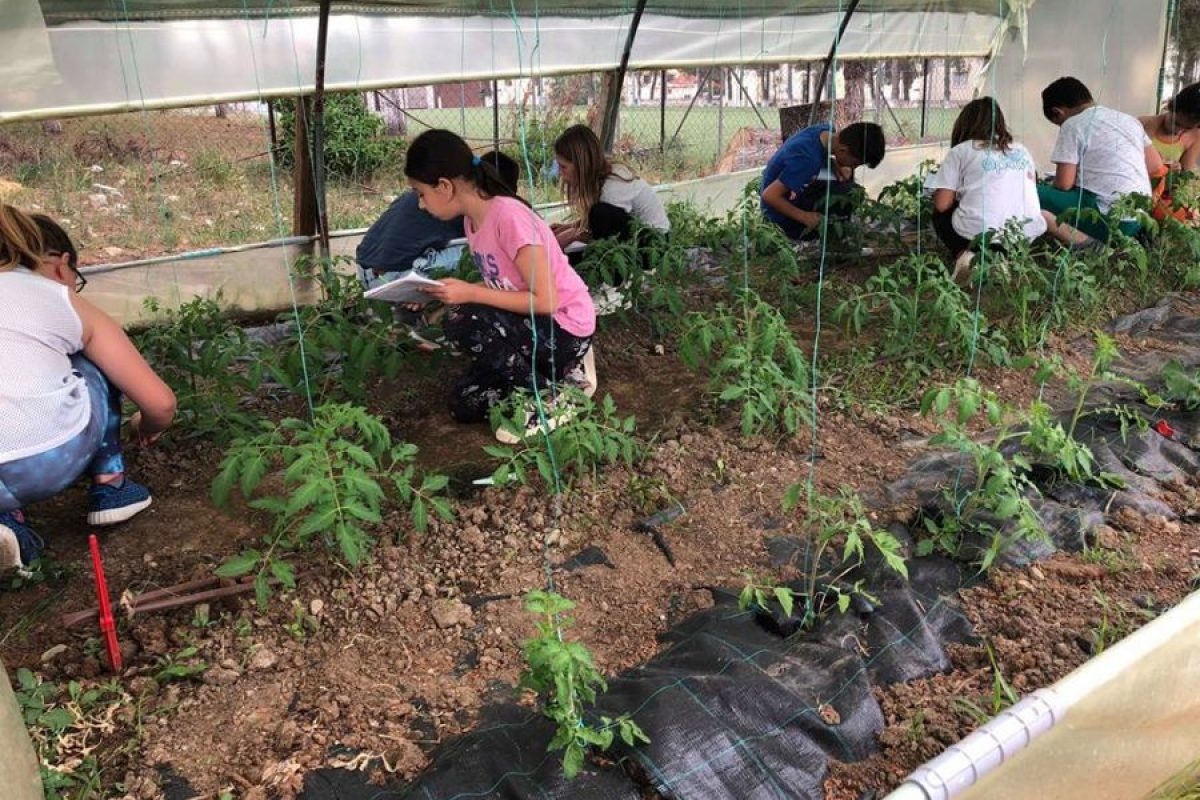 Χαλκιδική: Κλείνει λαχανόκηπος Δημοτικού Σχολείου λόγω… εφορίας!