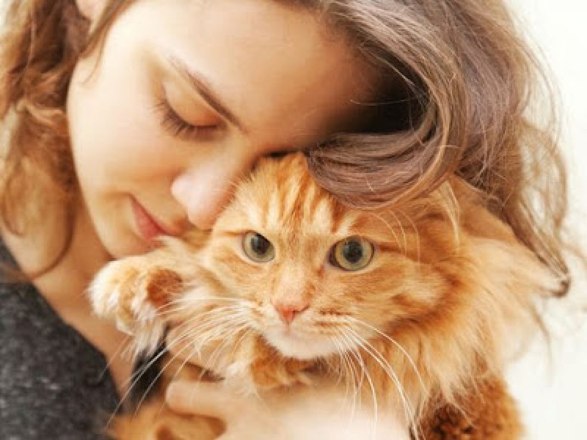 Οι γάτες είναι καταπληκτικοί φίλοι και σύντροφοι και πολύ καλοί θεραπευτές
