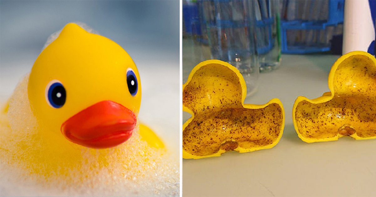 Τα πλαστικά παπάκια του μπάνιου κρύβουν ιδιαίτερα επικίνδυνα βακτήρια