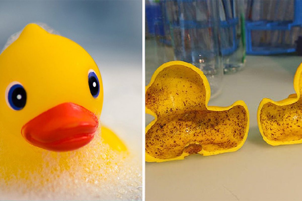 Τα πλαστικά παπάκια του μπάνιου κρύβουν ιδιαίτερα επικίνδυνα βακτήρια