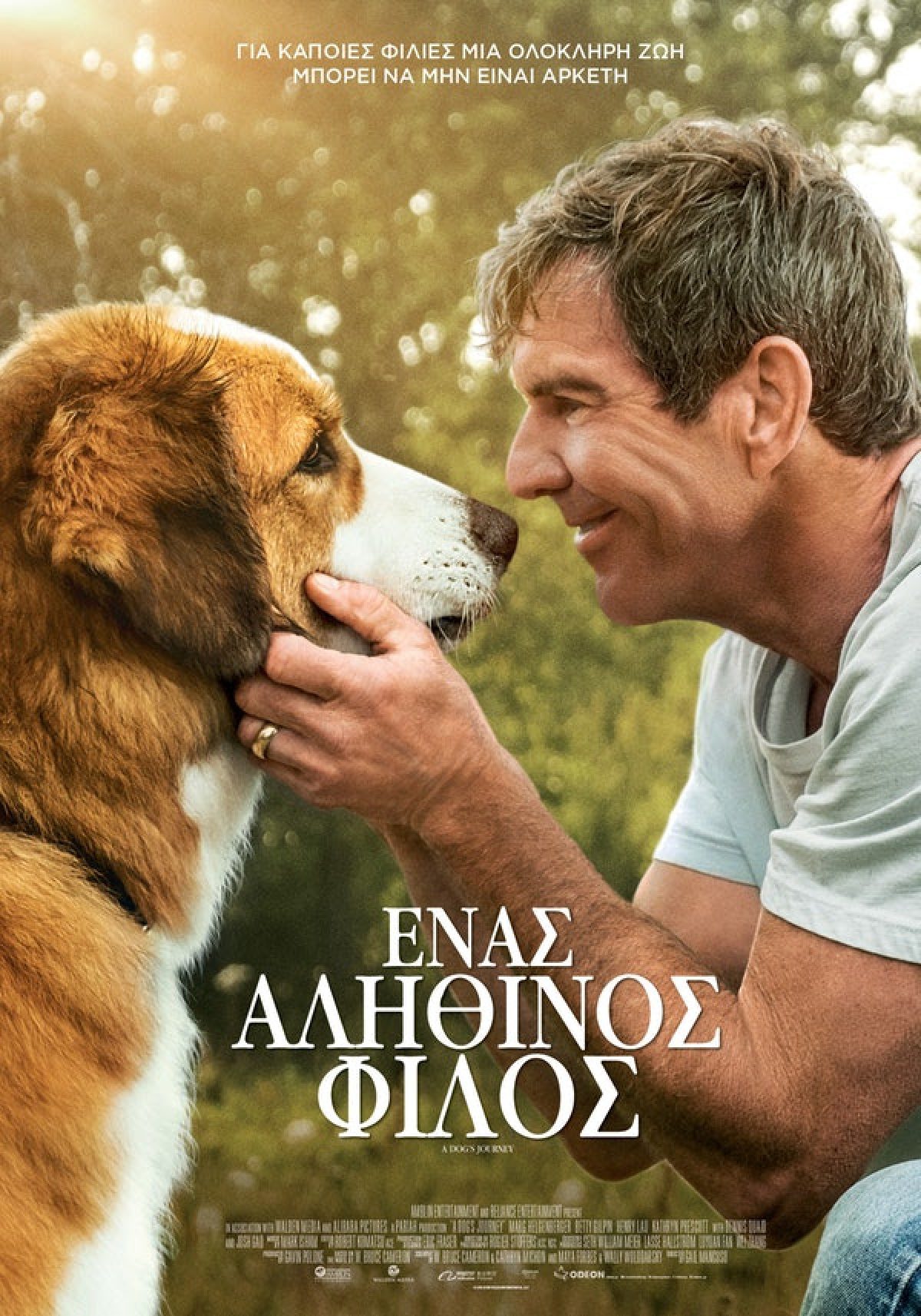 Ένας Αληθινός Φίλος (A Dog’s Journey) | 12 Σεπτεμβρίου στους Κινηματογράφους από την ODEON