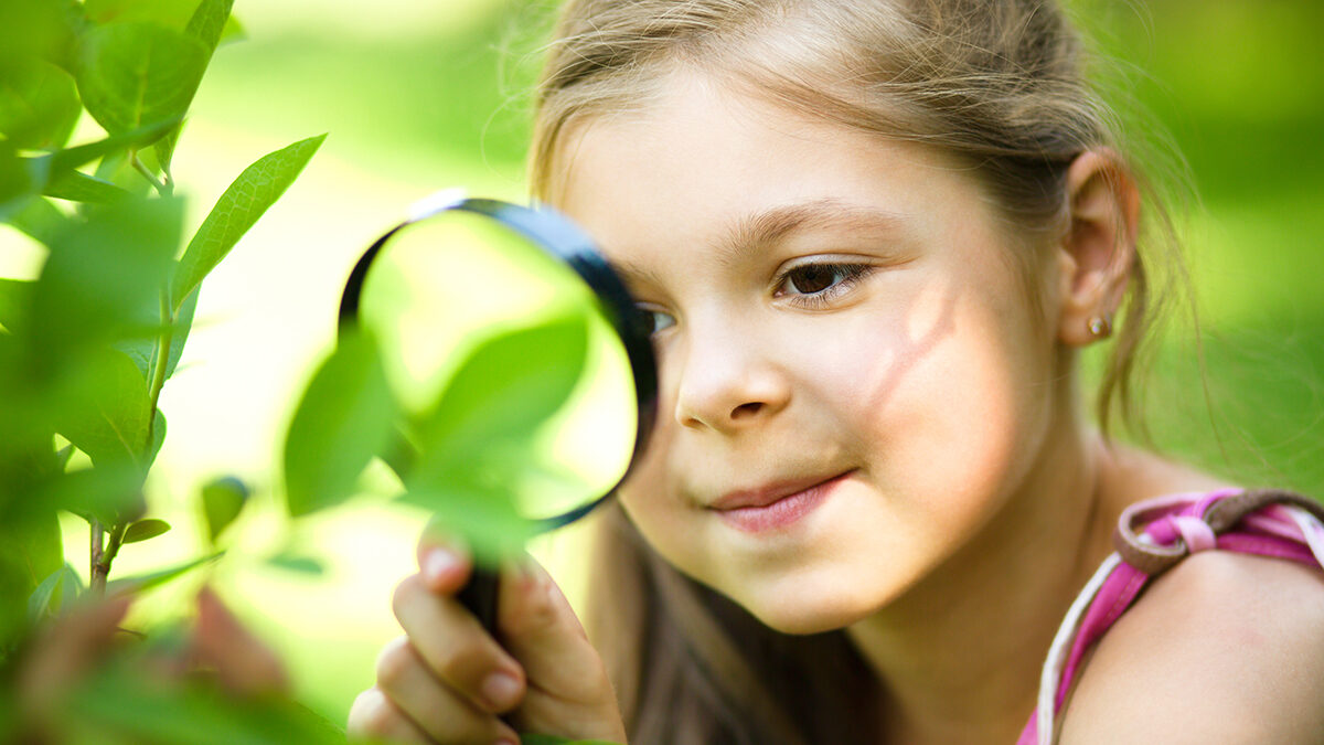 Ποιες δραστηριότητες βοηθούν το παιδί να αγαπήσει τη φύση;