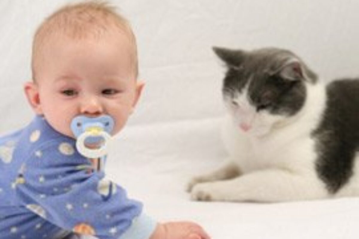 Ζώα. Γνωρίστε «αναίμακτα» το κατοικίδιο σας στο νεογέννητο μωρό